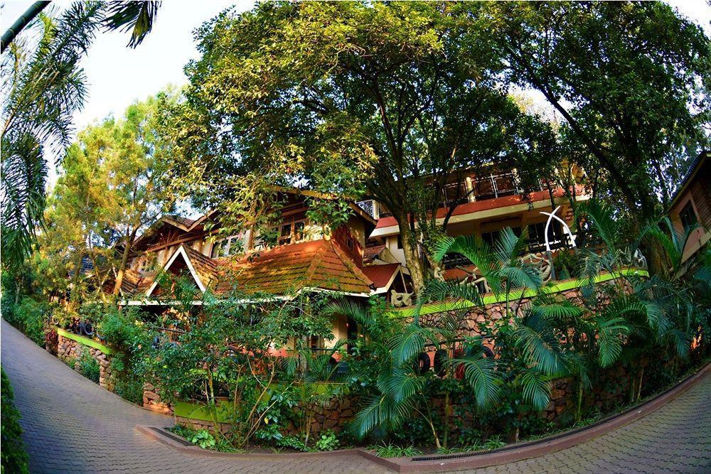 Hotel Forest 3*