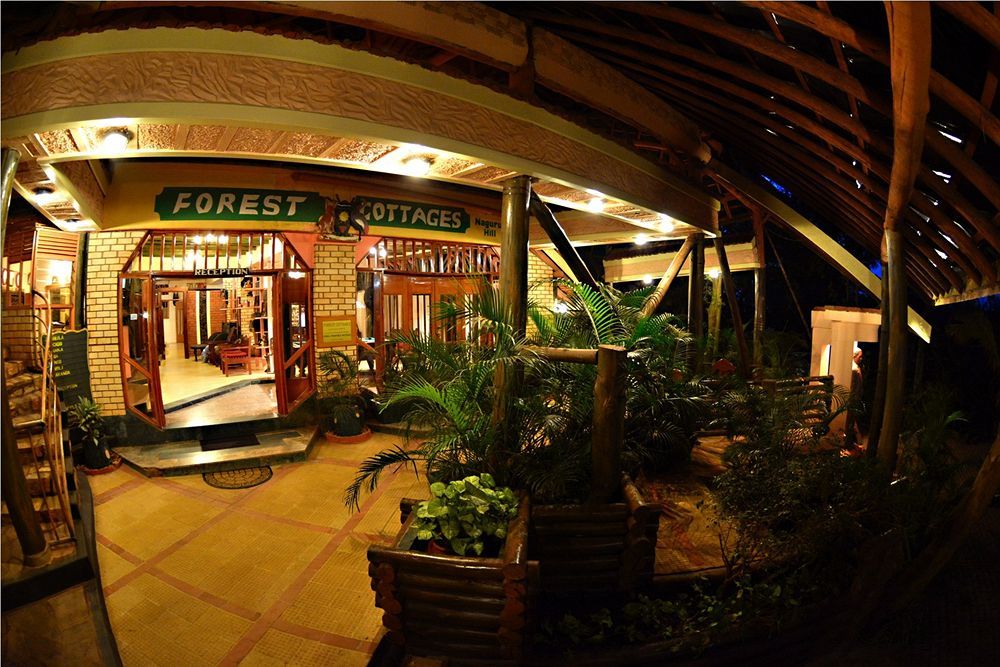 Forest Hotel 3*