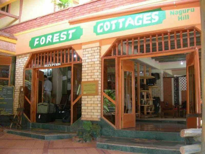 Hotel Forest 3*